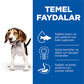 Hill’s SCIENCE PLAN Puppy Medium Lamb & Rich Orta Irk Kuzulu Yavru Köpek Maması 14 Kg