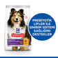 Hill’s SCIENCE PLAN Adult Medium Sensitive Stomach & Skin Chicken Hassas Yetişkin Köpek Maması 14 Kg
