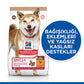 Hill’s SCIENCE PLAN Adult Medium No Grain Chicken Orta Irk Tavuklu Tahılsız Yetişkin Köpek Maması 2,5 Kg