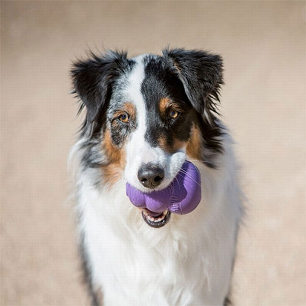 Kong Senior Yaşlı Köpek Oyuncağı Medium