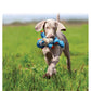 Kong Cross Knots Monkey Maymun Peluş Köpek Oyuncağı S-M