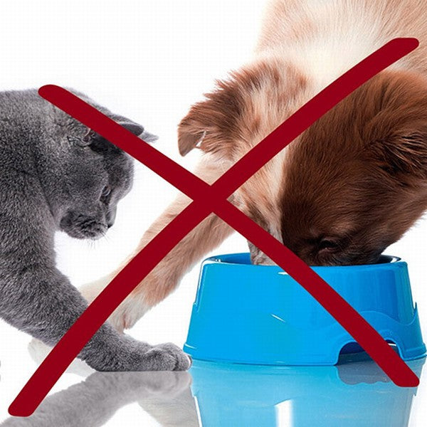 Trixie Kaymaz Altlıklı Kedi ve Köpek Mama Kabı 400 Ml