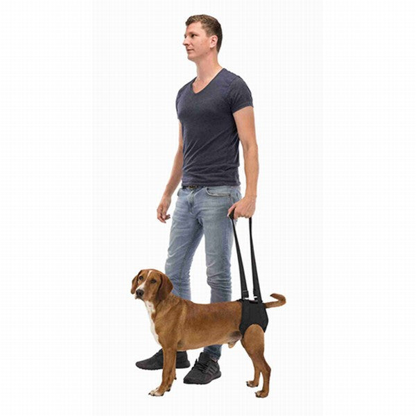 Trixie Köpek Yürütme Yardımcısı Siyah Medium 55-65 Cm
