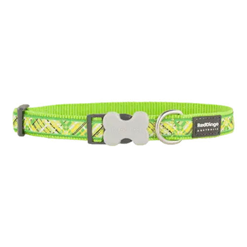 Reddingo Flanno Desenli Lime Köpek Boyun Tasması Medium 20 Mm 31-47 Cm