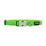 Reddingo Lime Üzerine Turkuaz Yıldızlı Köpek Boyun Tasması Medium 20 Mm 31-47 Cm