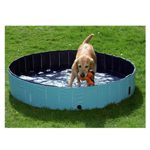 Köpek Eğitim ve Zeka Geliştirici Oyuncaklar
