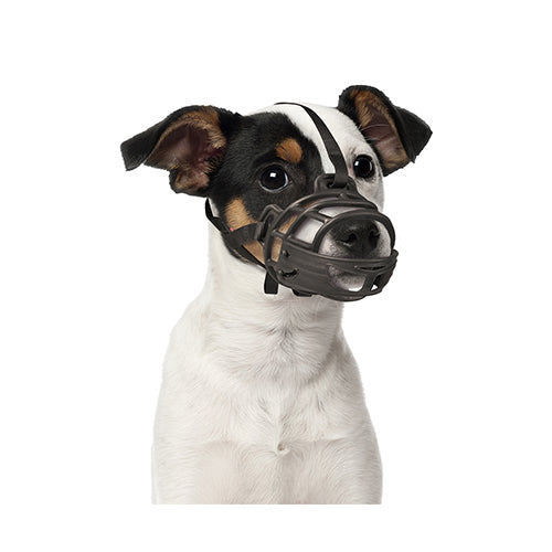 Duvo+ Kauçuk Köpek Ağızlığı Small