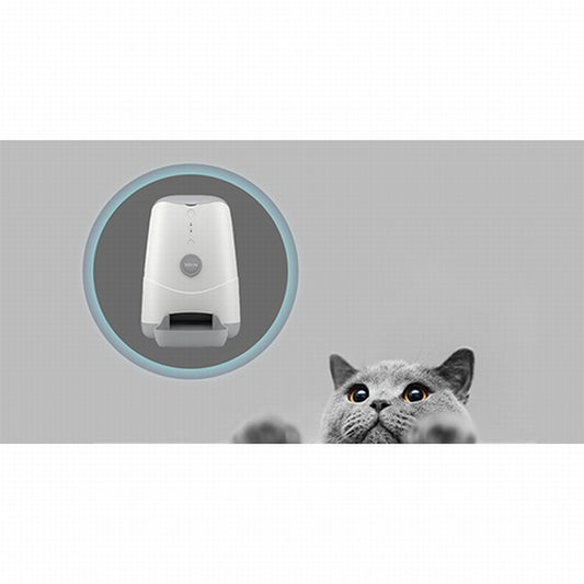 Bilicra Feed Me Akıllı Otomatik Kedi ve Köpek Mama Kabı