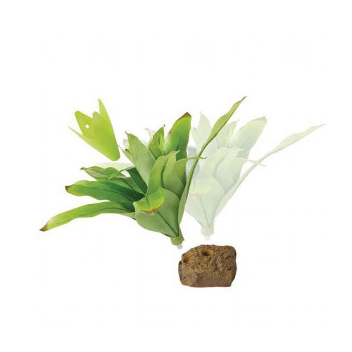 Exo Terra Büyük İpek Bromelia Plastik Teraryum Bitkisi