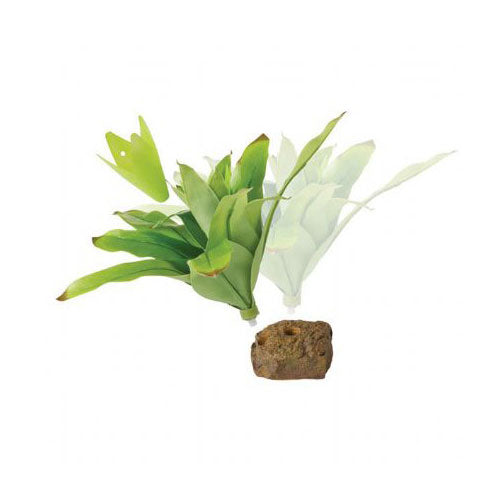 Exo Terra Küçük İpek Neoregelia Plastik Teraryum Bitkisi