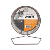 M-Pets Training Ayaklı Metal Hamster Çarkı Medium 13 Cm